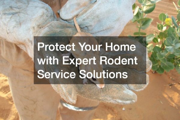 Protect Your Home with Expert Rodent Service Solutions